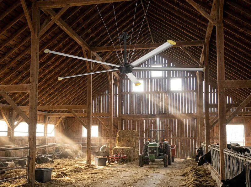 TEXAS LIVESTOCK FARM