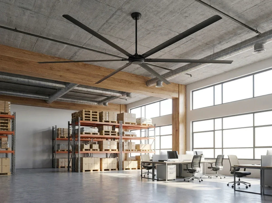 Large FANS