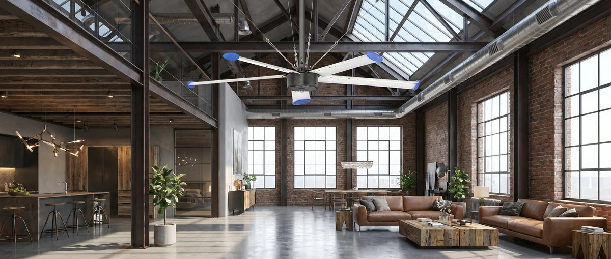 XXXL FAN U.S. location